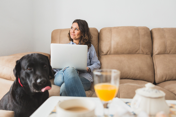 Dog Friendly Apartments Boston