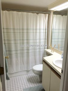 Allston 2 Bed 2 Bath BOSTON Boston - $3,600