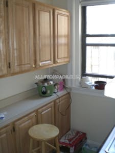 Allston Apartment for rent 1 Bedroom 1 Bath Boston - $2,700