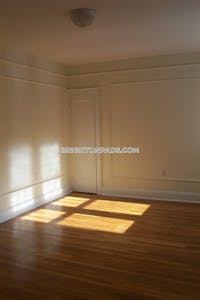 Brighton Apartment for rent 1 Bedroom 1 Bath Boston - $2,895 No Fee