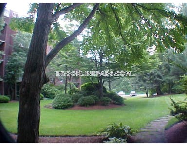 Newton Apartment for rent 2 Bedrooms 2 Baths  Chestnut Hill - $3,000 No Fee