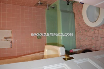 Brookline Apartment for rent 1 Bedroom 1 Bath  Coolidge Corner - $2,665 No Fee