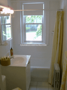 Cambridge 1 Bed 1 Bath  Harvard Square - $3,095 No Fee