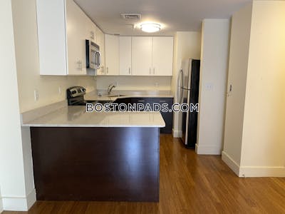 Downtown 2 Bed, 1 Bath Unit Boston - $4,125 No Fee