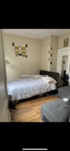 Northeastern/symphony Excellent 1 Bed 1 Bath Boston - $3,580 50% Fee