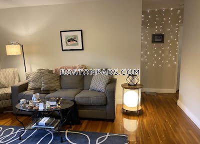 Brighton 2 Bed 1 Bath BOSTON Boston - $3,250