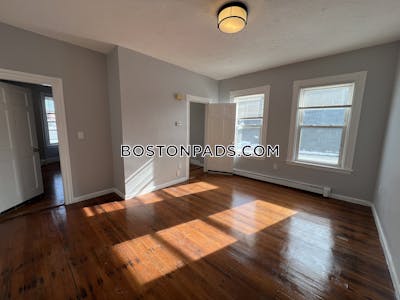 Jamaica Plain Newly renovated 3 bed, 1 bath available now on Walden St in Jamaica Plain Boston - $3,400