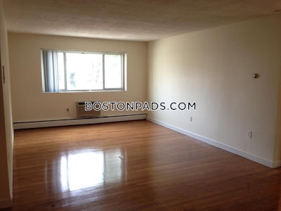 Allston 2 Bed 1 Bath BOSTON Boston - $3,300 No Fee