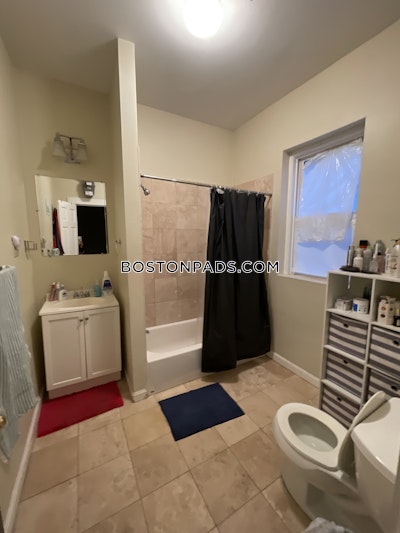 Allston 2 Beds 1 Bath Boston - $2,850 No Fee