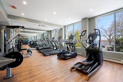 Cambridge 2 Bed 1 Bath CAMBRIDGE  Mt. Auburn/brattle/ Fresh Pond - $3,629