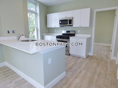 Roxbury 3 Beds 2 Baths Boston - $3,550