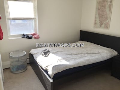 Lower Allston 2 Beds 1 Bath Boston - $3,100