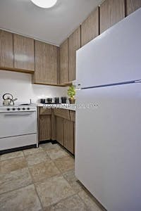 Brighton Studio 1 Bath Boston - $2,100 No Fee