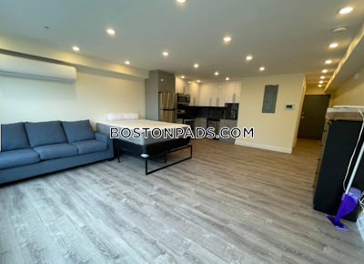 Allston 0 Bed 1 Bath BROOKLINE- BOSTON UNIVERSITY Boston - $2,900 No Fee
