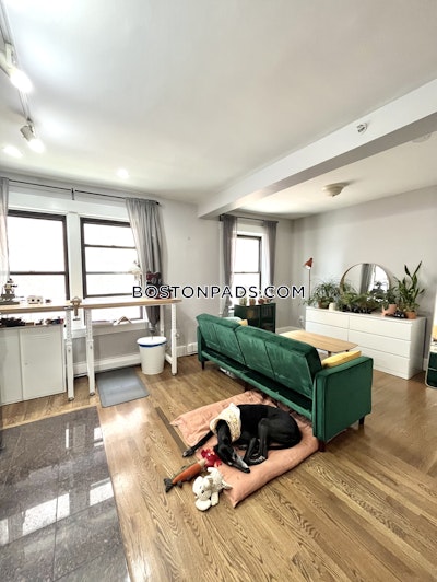Downtown 1 Bed 1 Bath Boston - $2,800 50% Fee