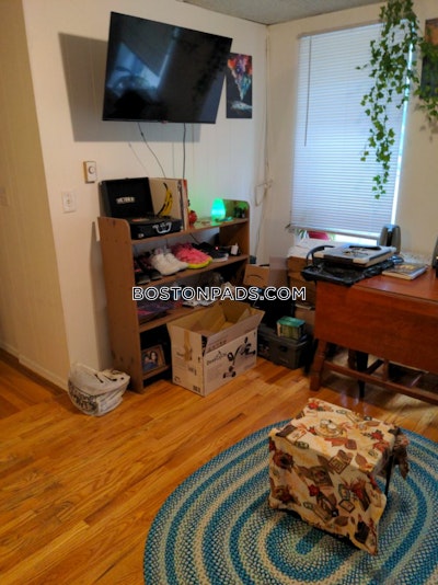 Brighton 1 Bed 1 Bath Boston - $1,995