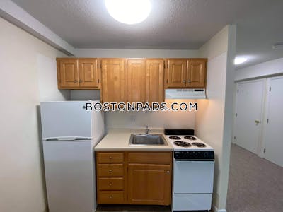 Cambridge Studio 1 Bath Mt. Auburn/brattle/ Fresh Pond - $1,950 No Fee