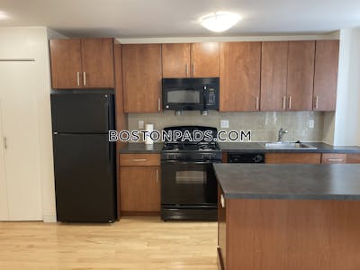 Brighton 1 Bed 1 Bath Boston - $2,690 No Fee