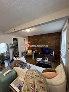 Downtown 1 Bed 1 Bath Boston - $2,600 No Fee
