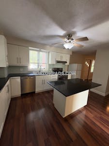 Cambridge 1 Bed 1 Bath Mt. Auburn/brattle/ Fresh Pond - $2,300 No Fee