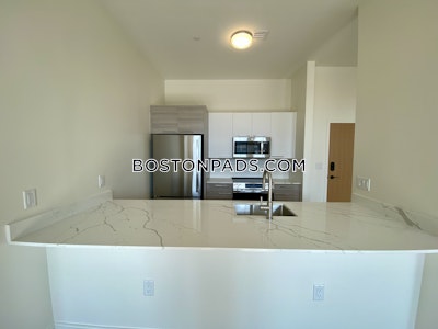 Allston 2 Beds 2 Baths Boston - $3,250 No Fee