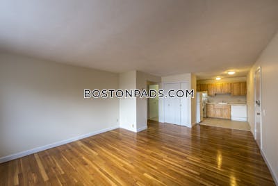 Allston 2 Bed 1 Bath BOSTON Boston - $2,950 No Fee