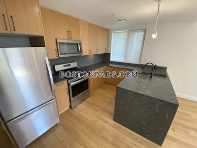 Allston 2 Beds 2 Baths Boston - $4,500 No Fee