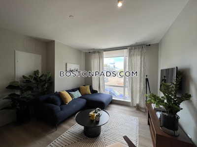 Brighton 1 Bed 1 Bath Boston - $2,955