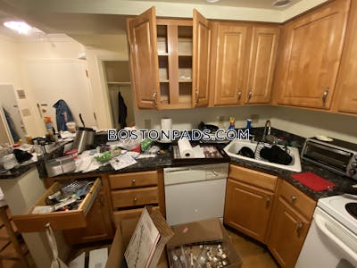Brookline Studio 1 Bath  Chestnut Hill - $2,600