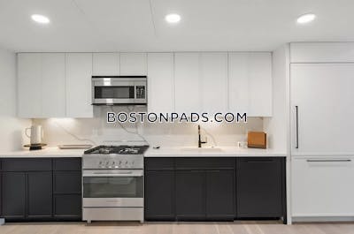 Brighton 2 Beds 2 Baths Boston - $4,895 No Fee