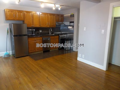 Downtown 1 Bed 1 Bath Boston - $2,600 No Fee