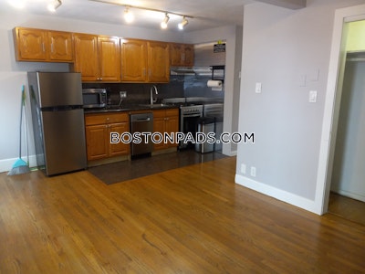 Downtown 1 Bed 1 Bath Boston - $2,600 No Fee