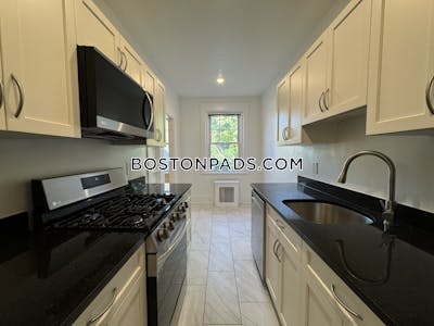 Brighton 1 Bed 1 Bath Boston - $2,990 No Fee