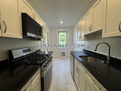 Brighton 1 Bed 1 Bath Boston - $2,990 No Fee