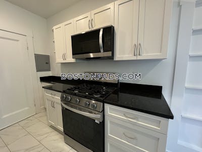 Brighton 1 Bed 1 Bath Boston - $2,990 No Fee