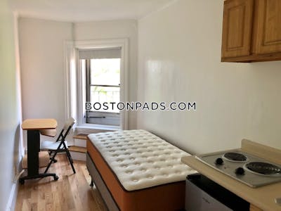 Brookline Studio 1 Bath  Boston University - $1,795