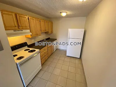 Allston 2 Beds 1 Bath Boston - $2,550 No Fee