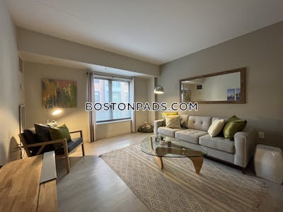 South End Luxury 1 Bed 1 Bath on Harrison Ave. in South End  Boston - $3,285