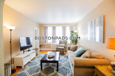 Brighton 1 Bed 1 Bath Boston - $4,400