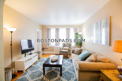 Brighton 1 Bed 1 Bath Boston - $4,400