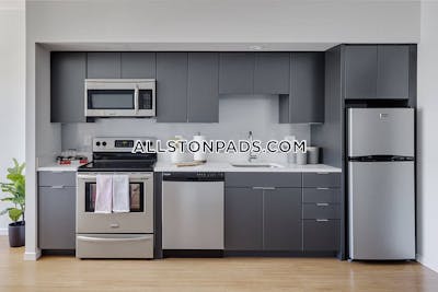Allston Apartment for rent 1 Bedroom 1 Bath Boston - $4,307