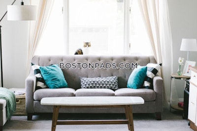 Allston/brighton Border 2 Beds 1 Bath Boston - $2,800