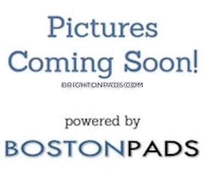 Brighton Apartment for rent 1 Bedroom 1 Bath Boston - $2,400 No Fee