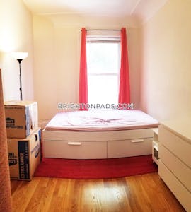 Brighton Apartment for rent 1 Bedroom 1 Bath Boston - $3,100