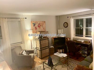 Brighton Apartment for rent 1 Bedroom 1 Bath Boston - $2,400 No Fee