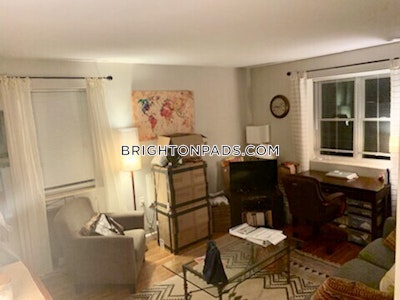 Brighton Apartment for rent 1 Bedroom 1 Bath Boston - $2,400 No Fee