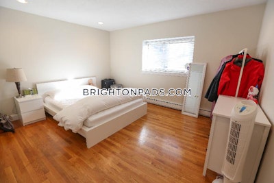 Brighton Apartment for rent 1 Bedroom 1 Bath Boston - $2,325 No Fee