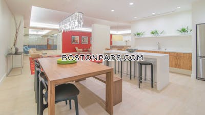 West End Apartment for rent 1 Bedroom 1 Bath Boston - $3,275