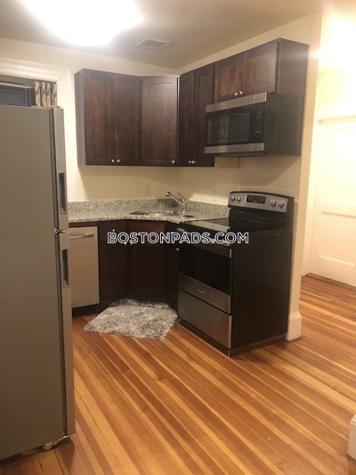 Brookline Apartment for rent 1 Bedroom 1 Bath  Washington Square - $3,000 No Fee