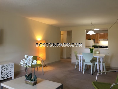 Dorchester Apartment for rent 1 Bedroom 1 Bath Boston - $3,100